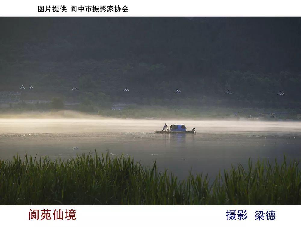 饿狮救援