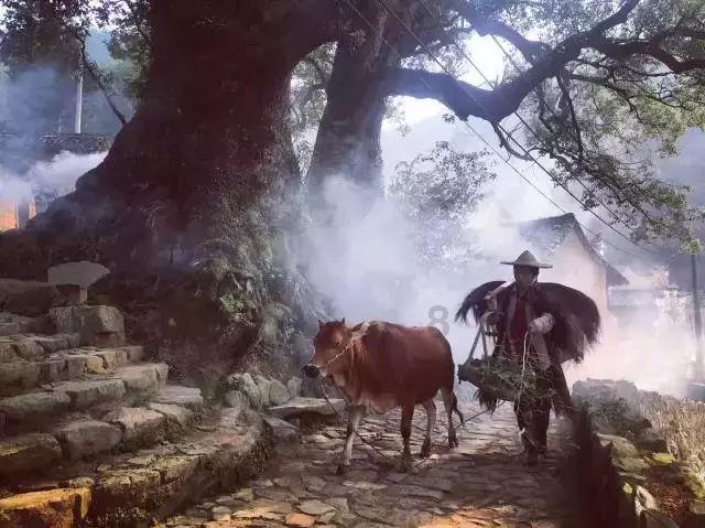 探索阴山岩画的出现年代,发现新知识之旅