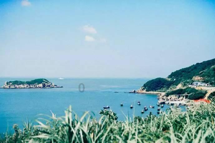逃离壳牌岛